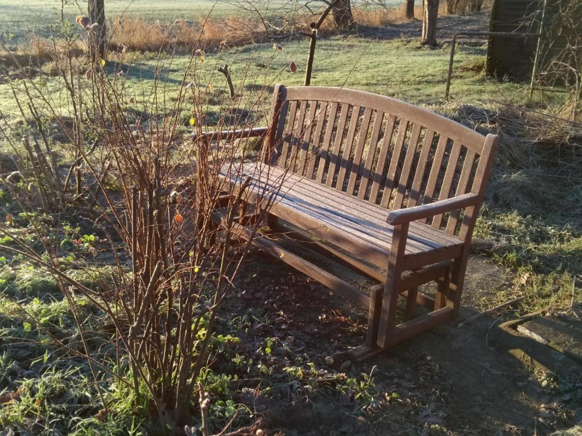 Kroetenhof Barfoerde Barforde Buitenkant foto